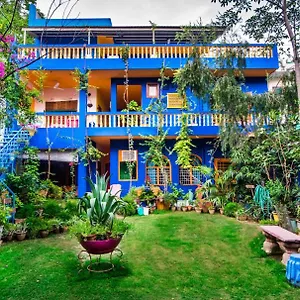 The Coral Tree Boutique Indien